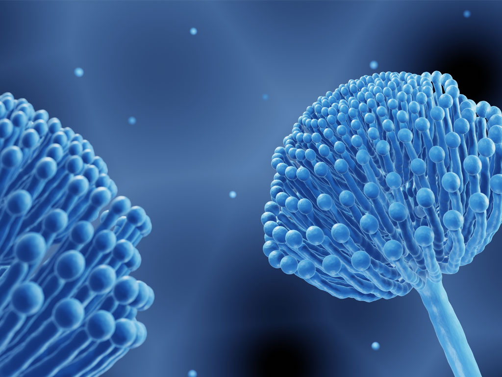 Artistic Rendition of the airborne fungus Aspergillus Famigatus, which can lead to antifungal resistance and fungal infections.