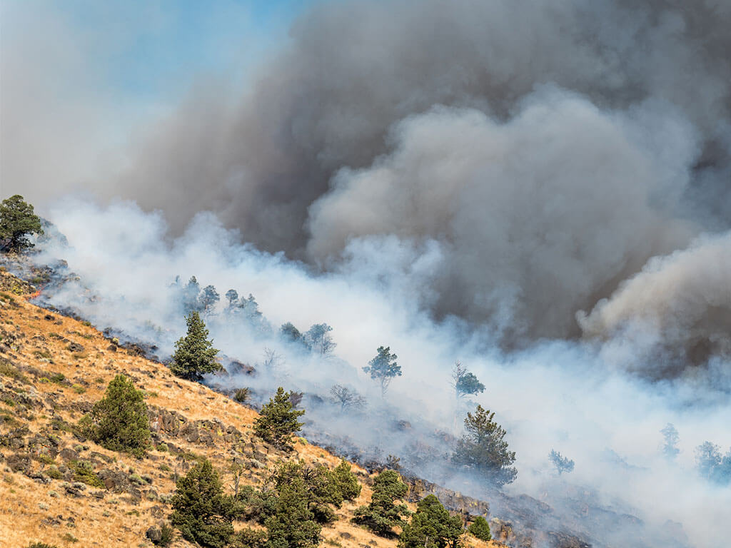 Wildfire burning, a natural disaster that causes massive air pollution.